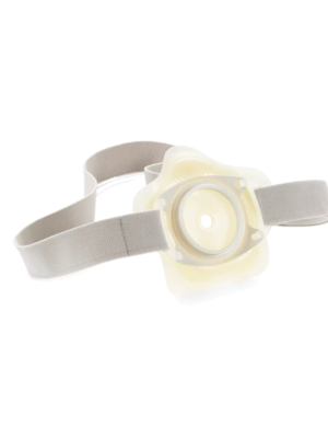 Cinturon Brava para Sensura Mio