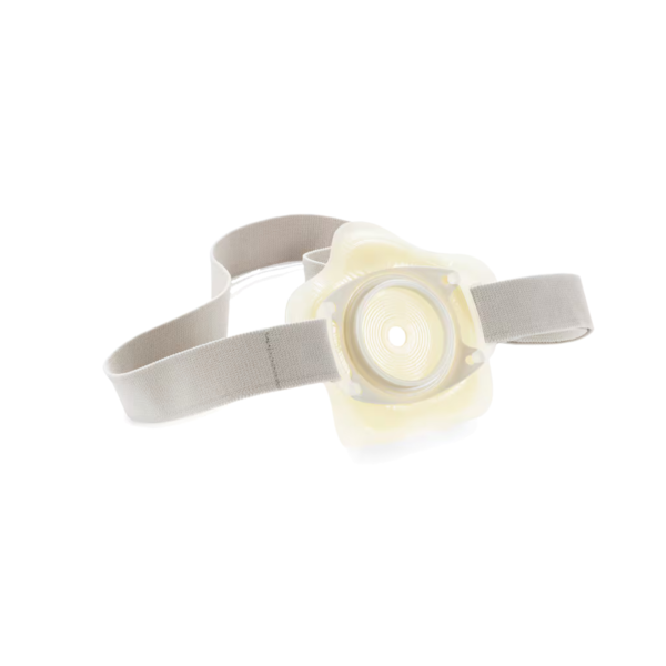 Cinturon Brava para Sensura Mio